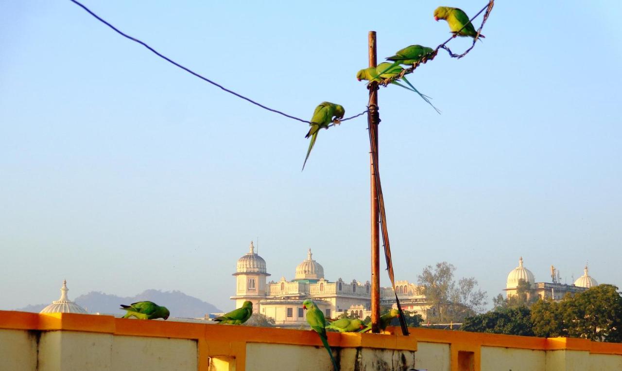 Mohan Villa Guest House Udaipur Exterior photo